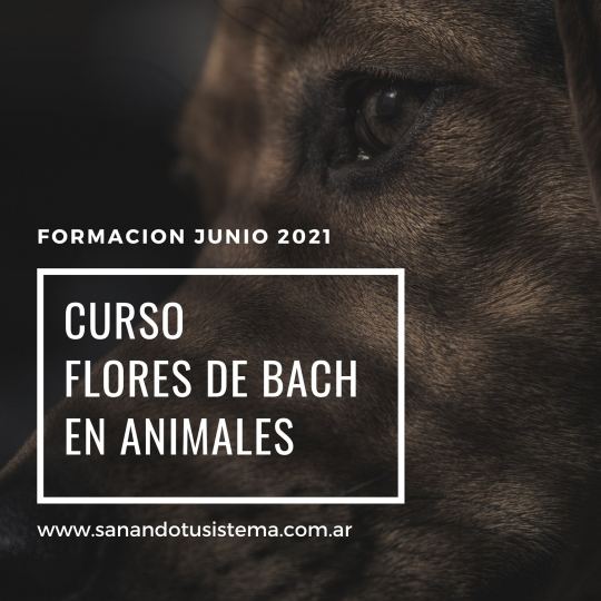 gallery/curso junio 2021